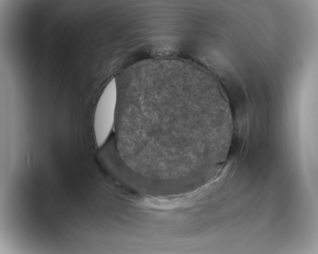 X0000093530041200711091806
