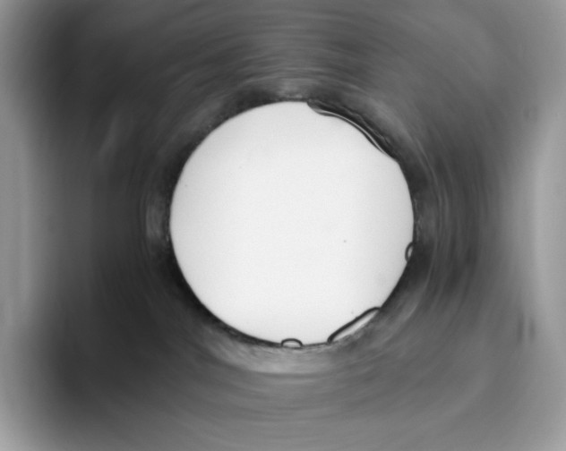 X0000093530044200711091806
