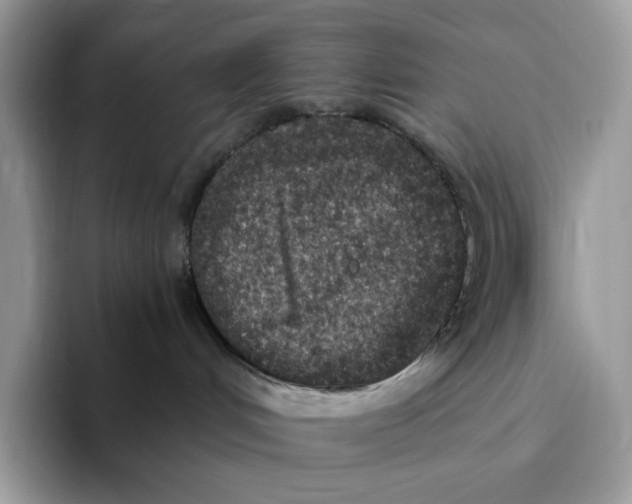 X0000093530048200711091806