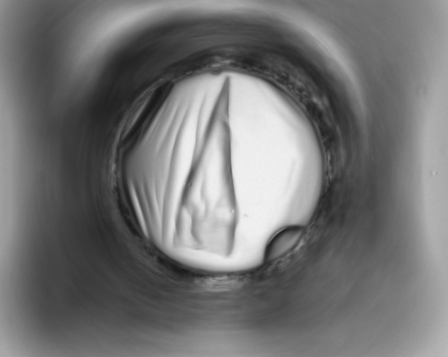 X0000093530050200711091805