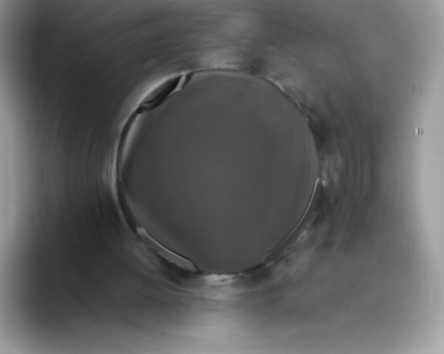 X0000093530052200711091805