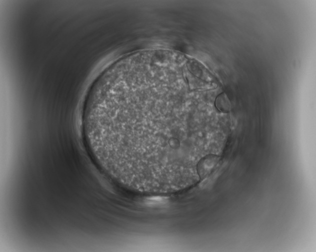 X0000093530053200711091805
