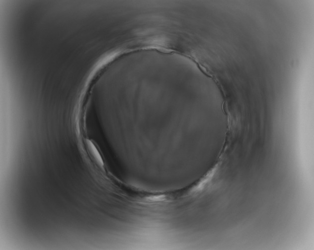 X0000093530054200711091805