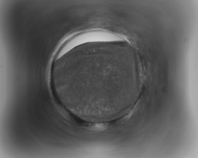 X0000093530056200711091805