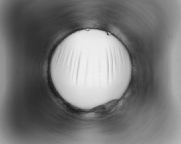 X0000093530058200711091805