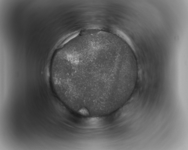 X0000093530059200711091805