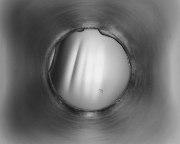 X0000093530060200711091805
