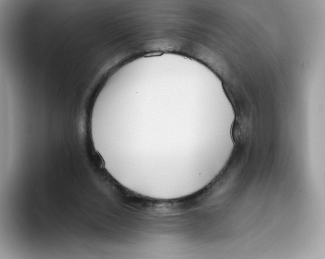 X0000093530064200711091805