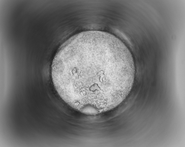 X0000093530065200711091805