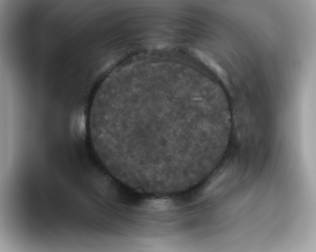 X0000093530067200711091805