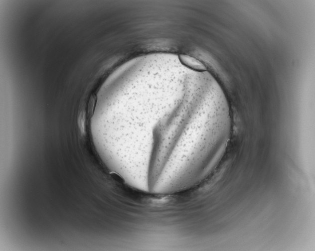 X0000093530068200711091805