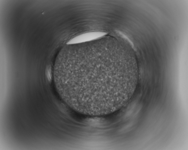 X0000093530069200711091805
