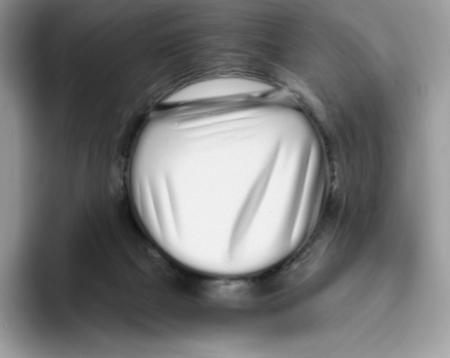 X0000093530073200711091805