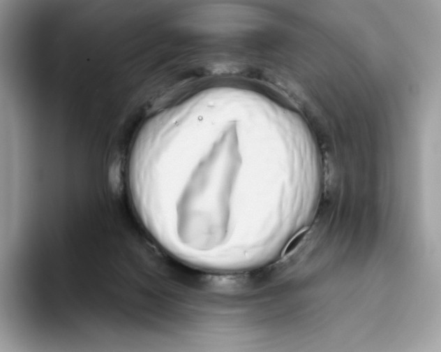 X0000093530074200711091805