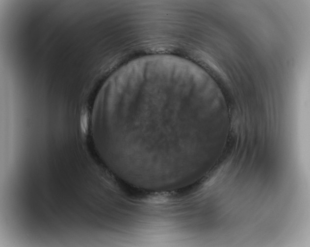 X0000093530076200711091806