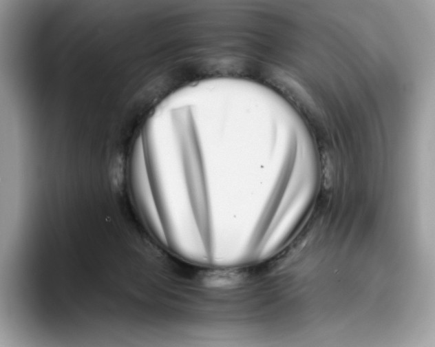 X0000093530077200711091806