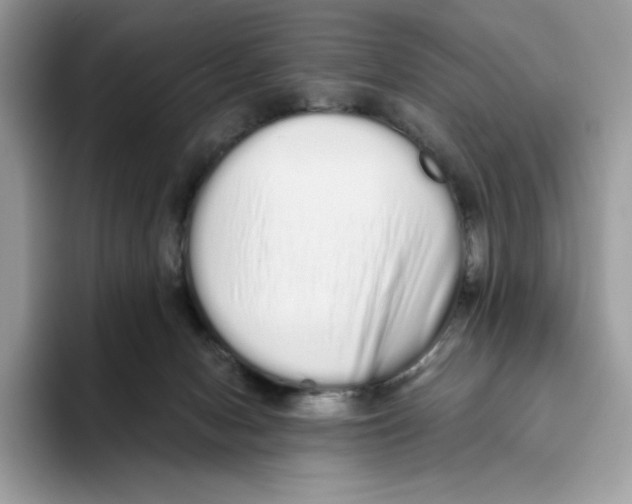 X0000093530078200711091806