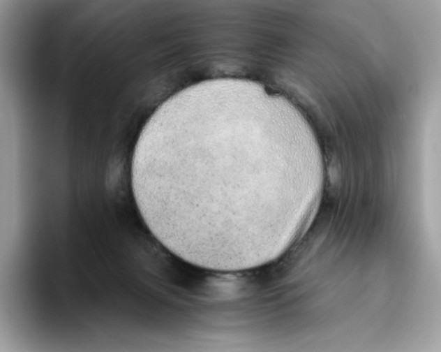 X0000093530079200711091806