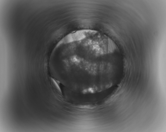 X0000093530080200711091806