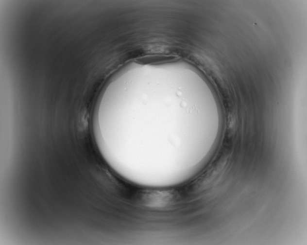 X0000093530081200711091806