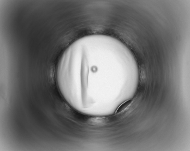 X0000093530082200711091806
