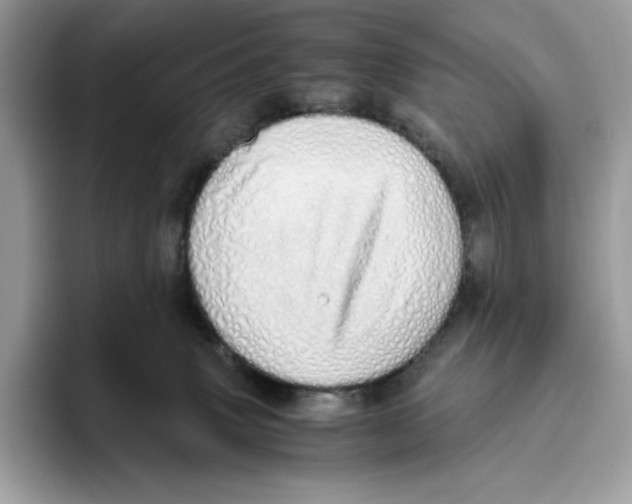 X0000093530083200711091806