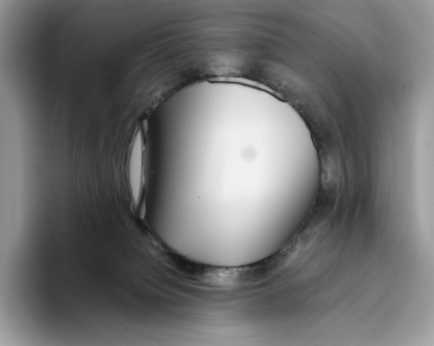 X0000093530084200711091806
