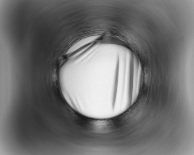 X0000093530085200711091806