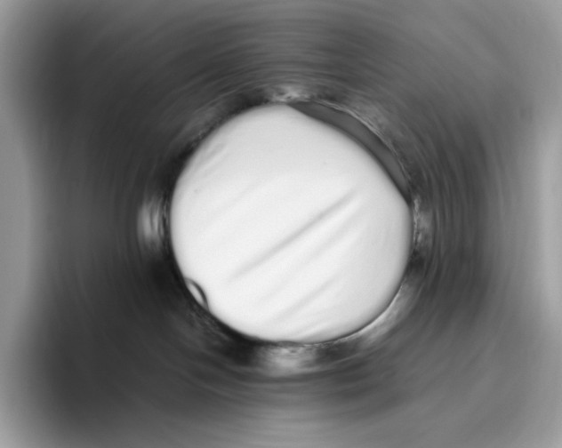 X0000093530094200711091806
