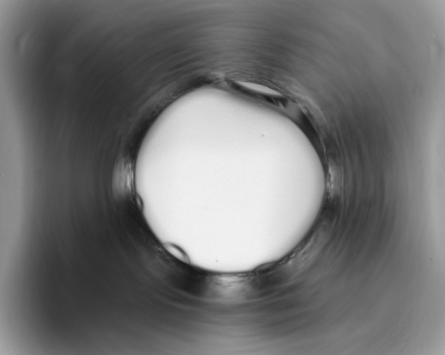 X0000093530095200711091806