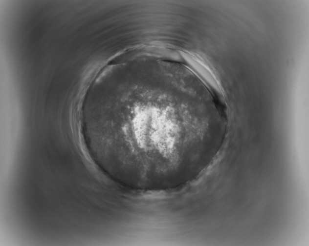 X0000093530097200711091805