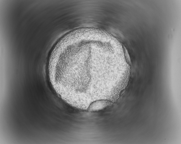 X0000093530098200711091805