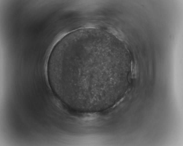 X0000093530099200711091805