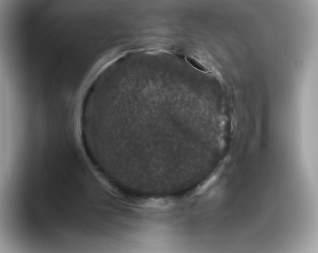 X0000093530101200711091805