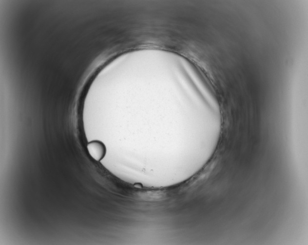 X0000093530102200711091805