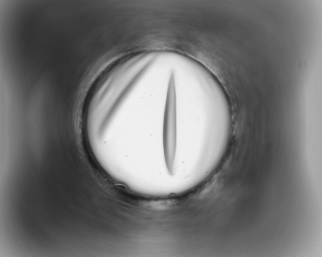 X0000093530103200711091805
