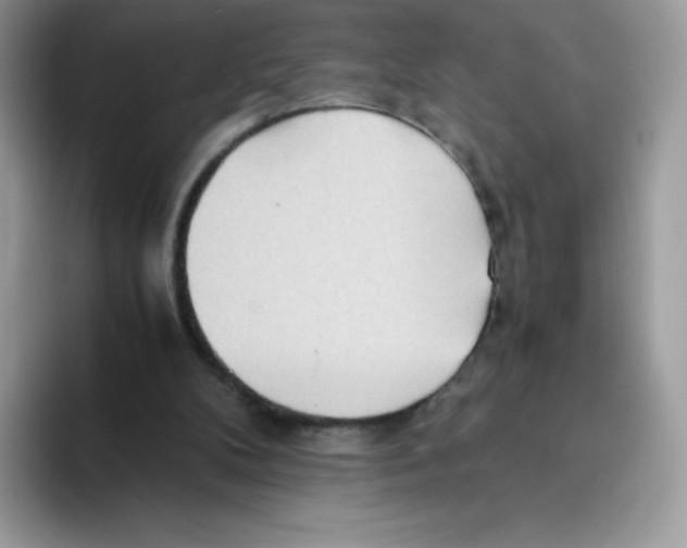 X0000093530104200711091805