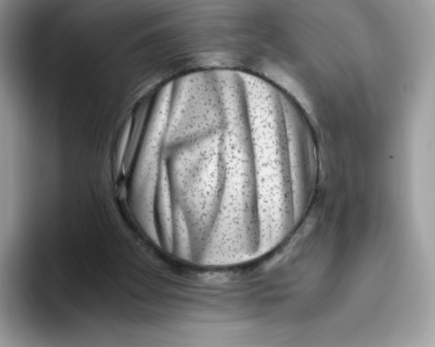 X0000093530105200711091805