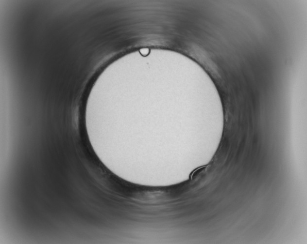 X0000093530108200711091805