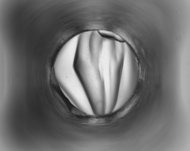 X0000093530109200711091805