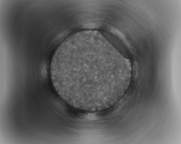 X0000093530114200711091805