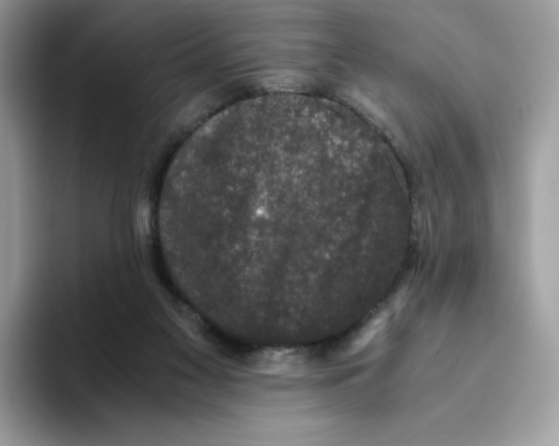 X0000093530117200711091805