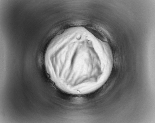 X0000093530119200711091805