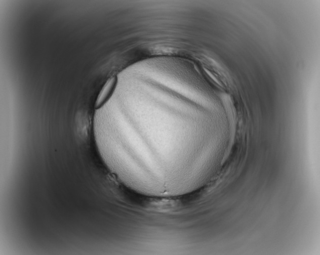 X0000093530125200711091805