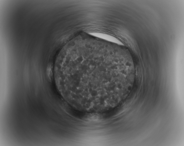 X0000093530127200711091805