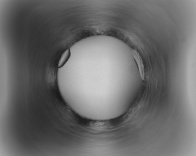 X0000093530129200711091805