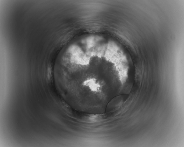 X0000093530130200711091805