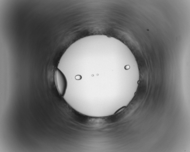 X0000093530133200711091805