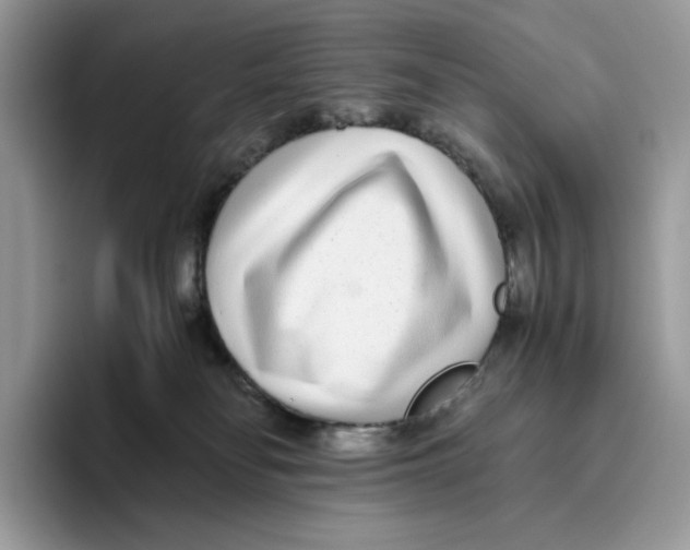 X0000093530134200711091805