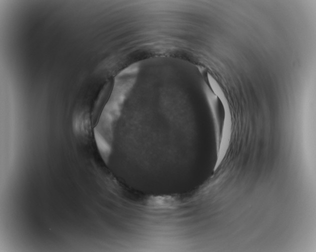 X0000093530137200711091805